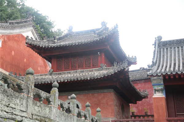 今泰裝飾出游記 | 我們有一千種姿勢(shì)玩出精彩！(圖5)