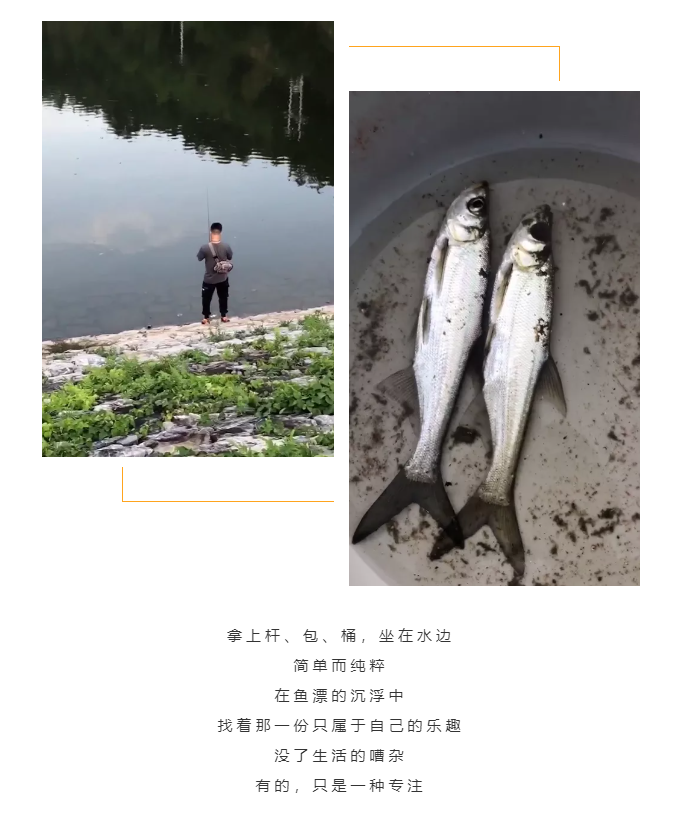 秋天了，來一場成年人的秋游吧(圖5)