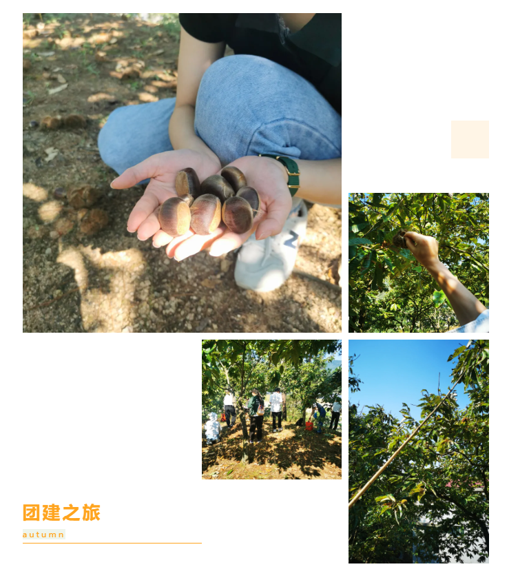 秋天了，來一場成年人的秋游吧(圖6)